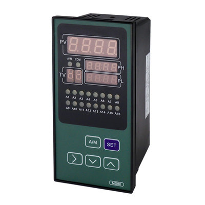 ZWP-LED多路巡检控制仪